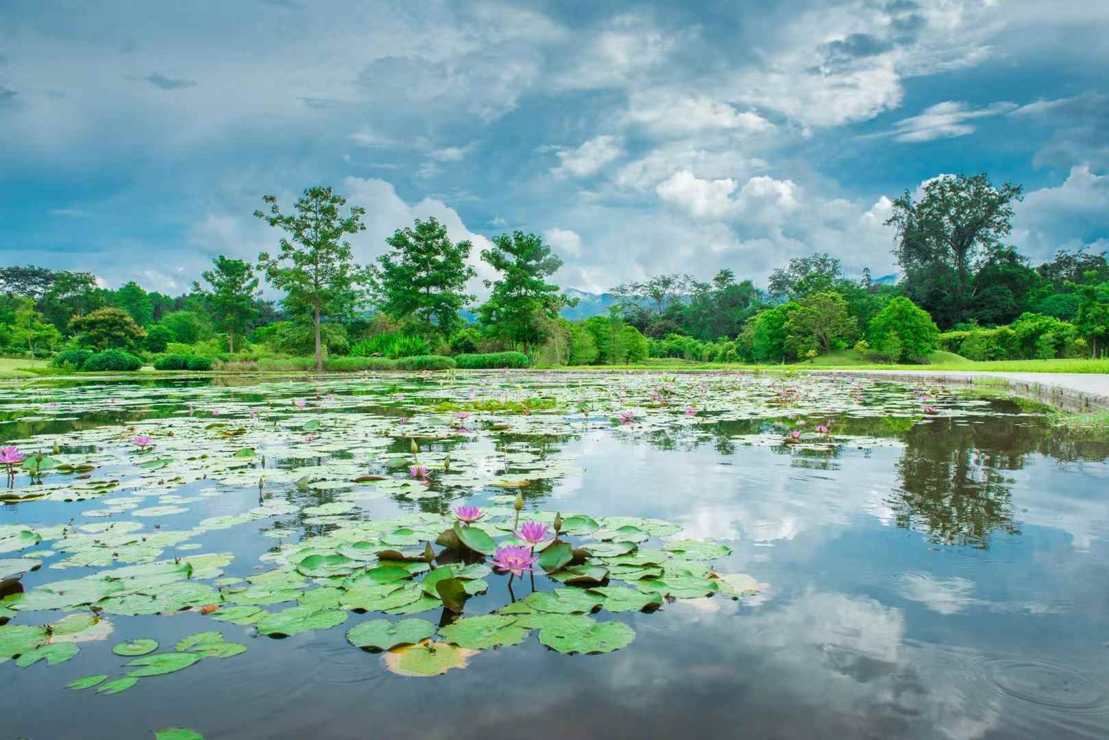 XTBG scenery