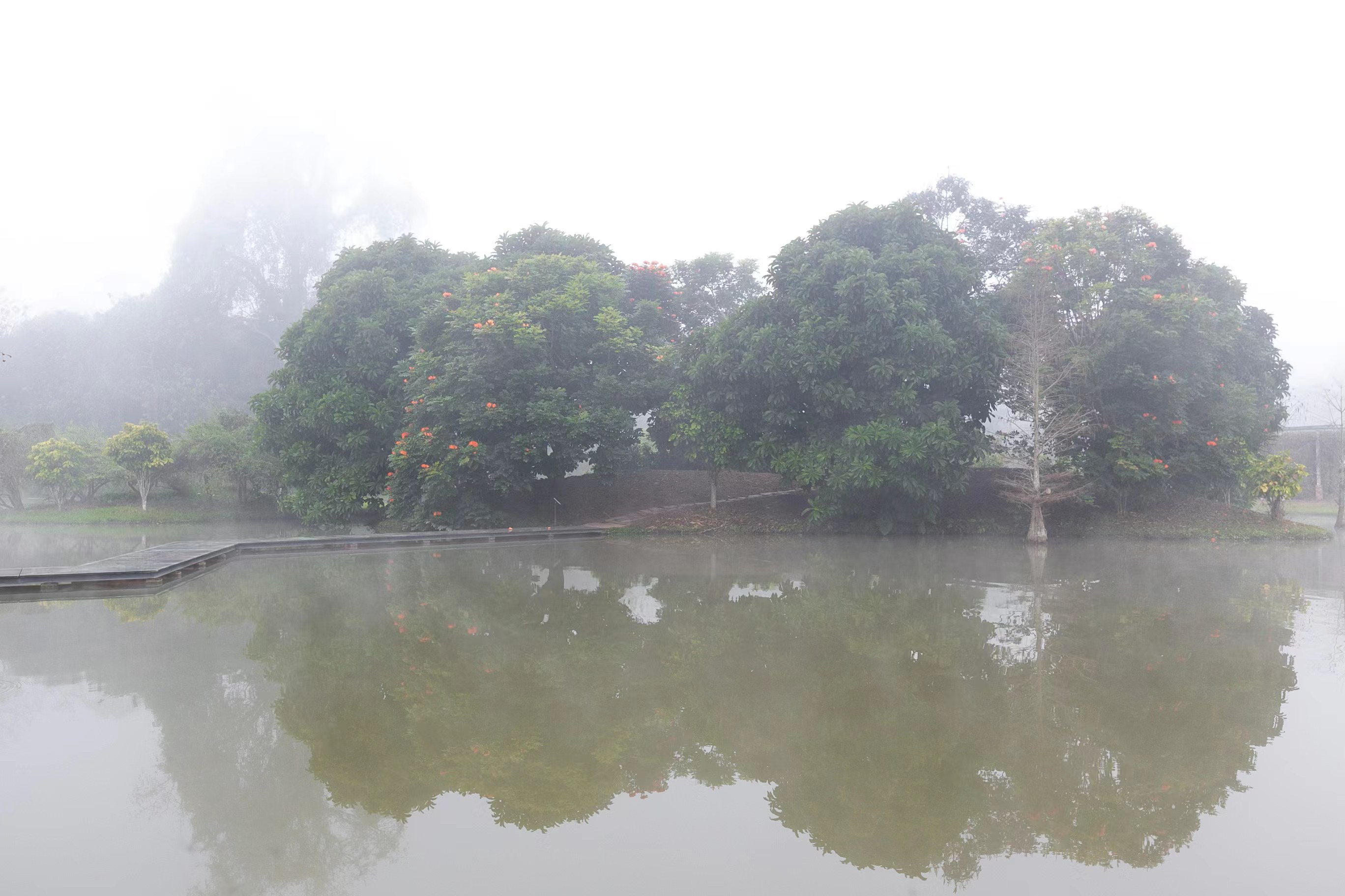 XTBG scenery