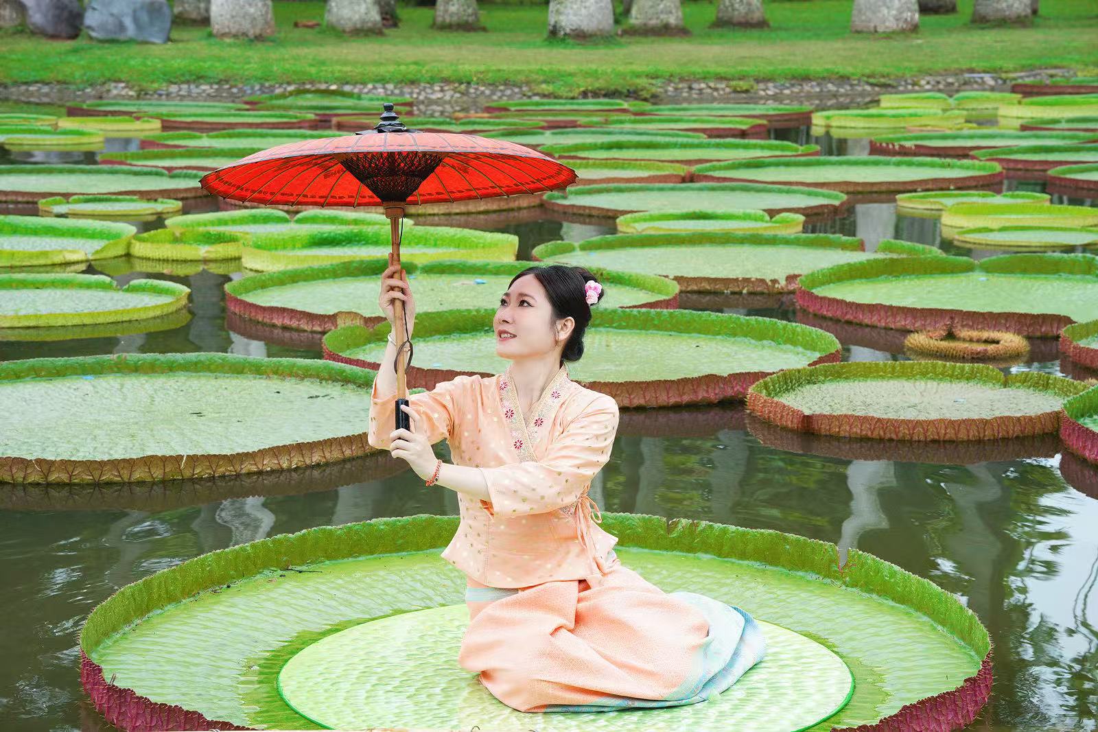 Leaves of royal water lilies can hold an adult.
