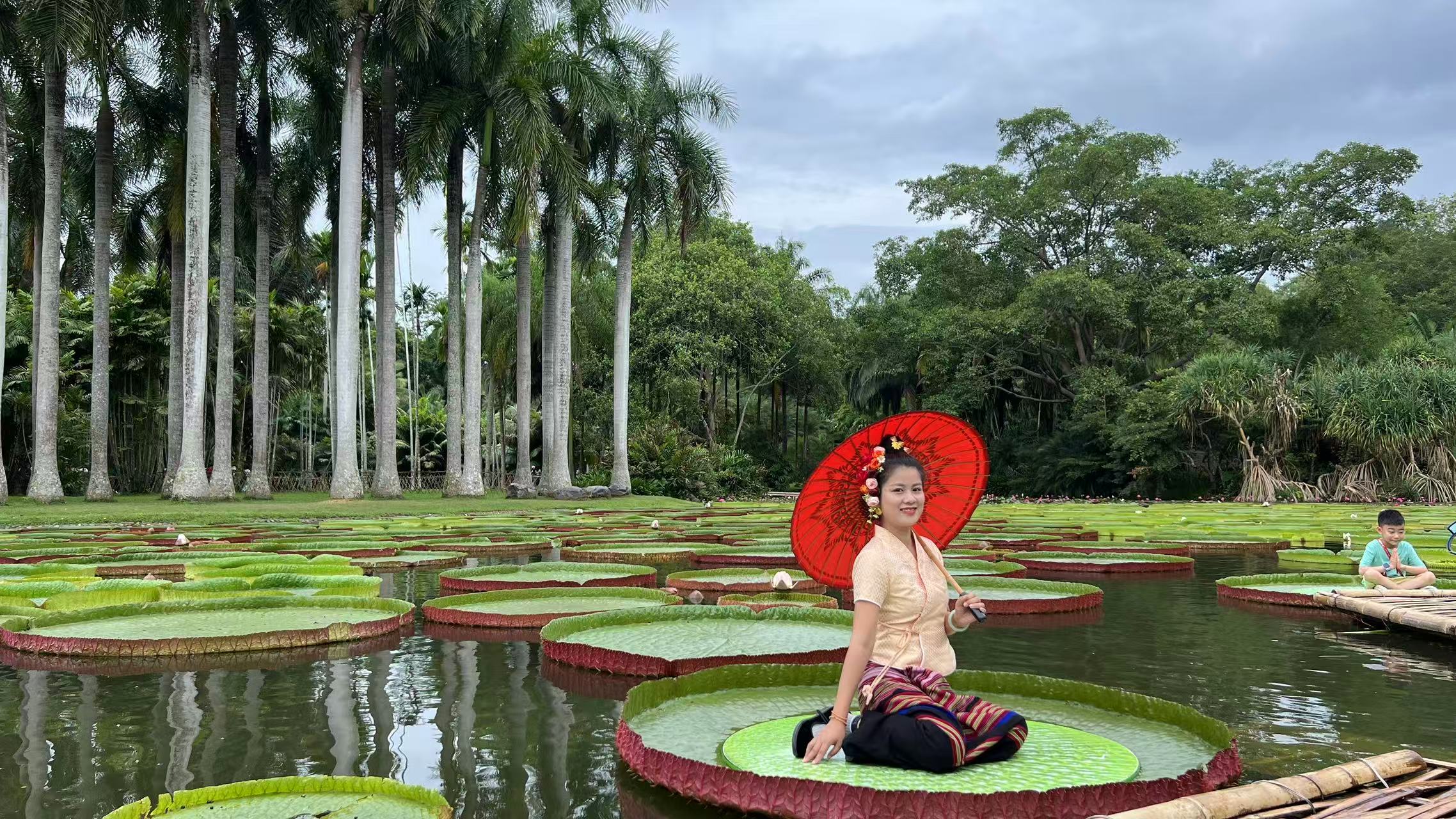 Leaves of royal water lilies can hold an adult.