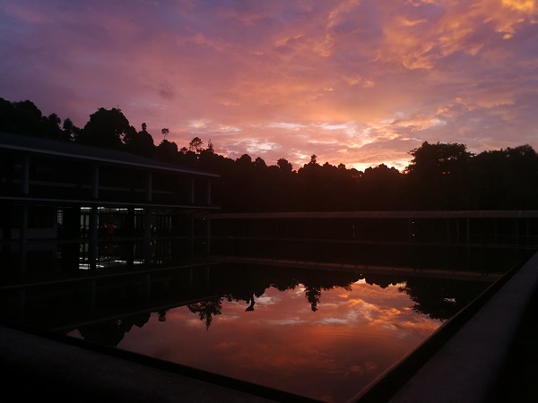 XTBG Research Center in the sunset