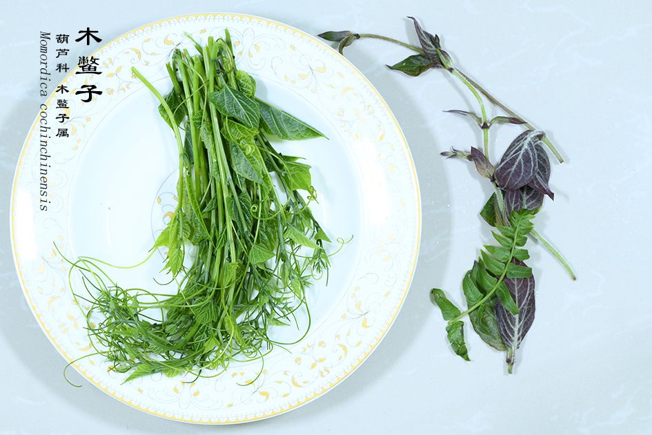 Wild edible vegetable - Momordica cochinchinensis
