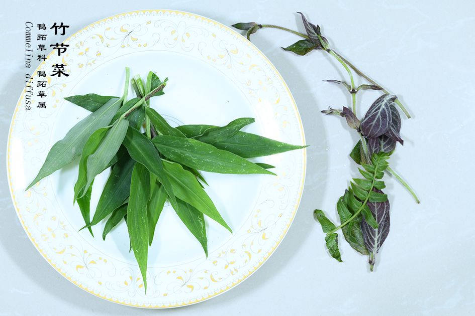 Wild edible vegetable - Commelina diffusa