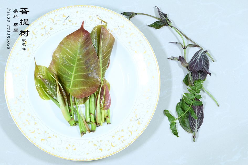 Wild edible vegetable - Ficus religiosa