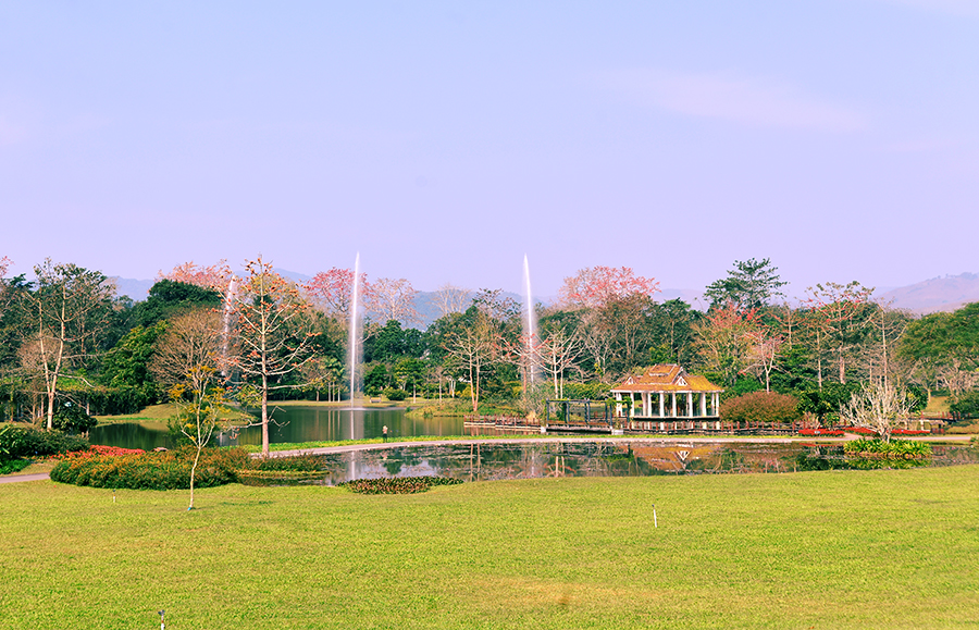 Flower Garden of XTBG