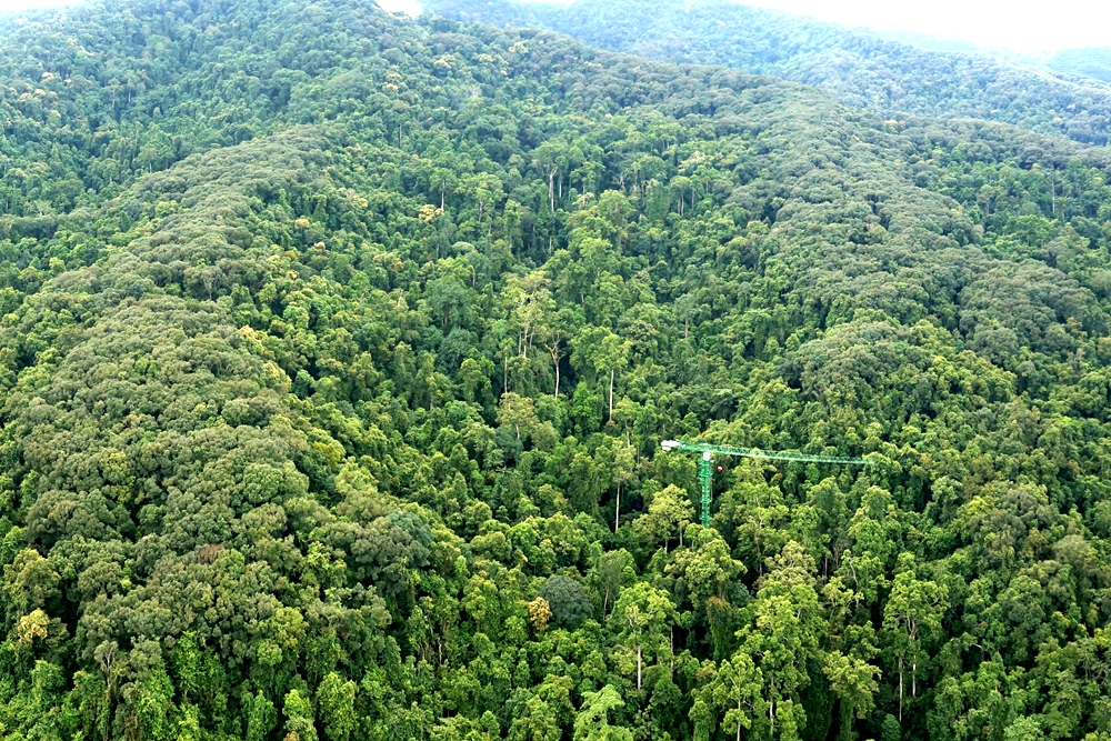 XTBG field stations become Observation and Research Stations of Yunnan