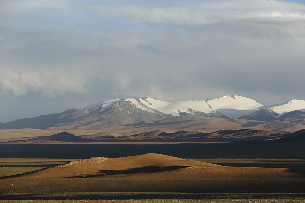 Growth of Northern Tibet proved the key to East Asian biodiversity