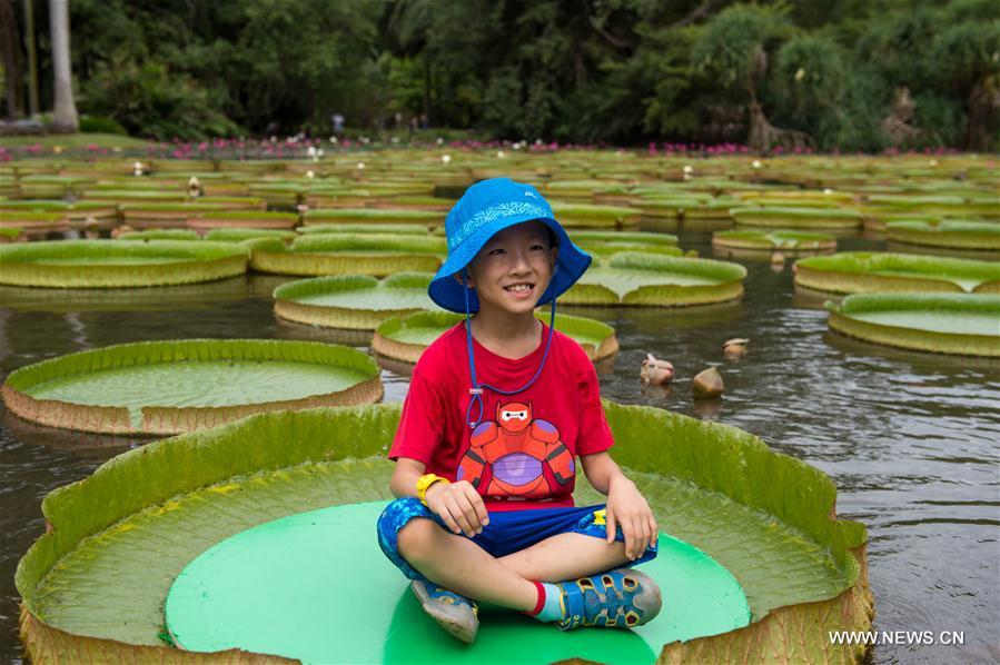 In pics: Xishuangbanna Tropical Botanical Garden