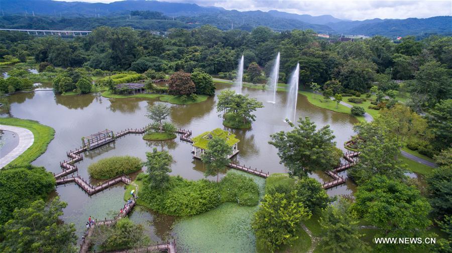 In pics: Xishuangbanna Tropical Botanical Garden