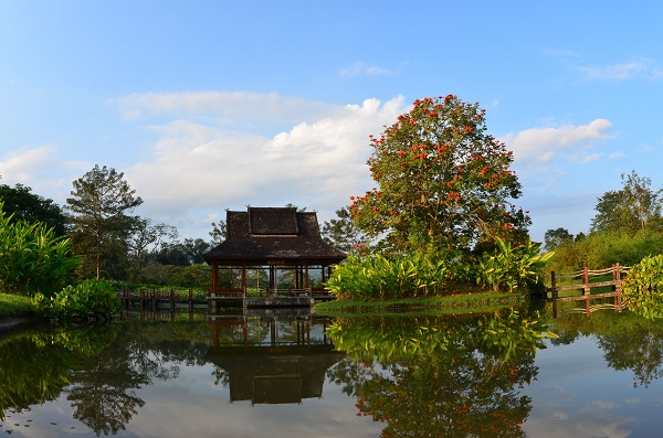 Scenery of Xishuangbanna Tropical Botanical Garden