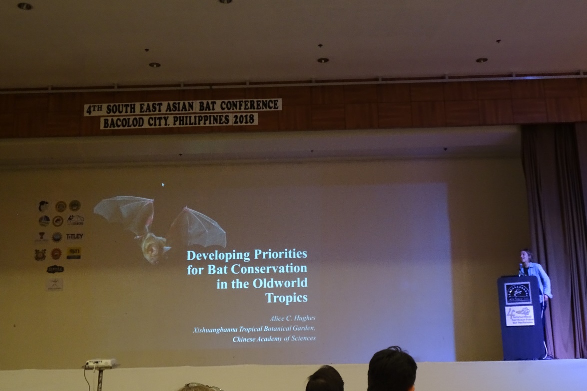 XTBG researchers present at 4th International Southeast Asian Bat Conference