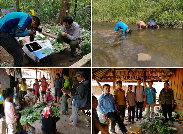XTBG completes third China-Lao transboundary biodiversity investigation
