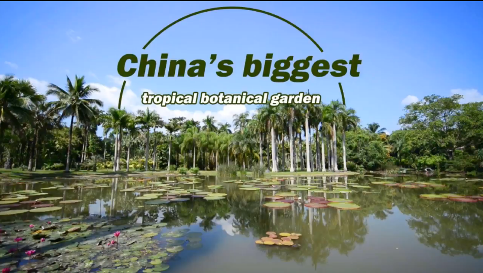 Live: China's biggest tropical botanical garden