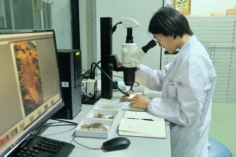 Resolving abominable mysteries