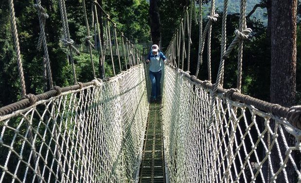 12 Oct – 23 Nov 2017: Advanced Fieldcourse in Ecology and Conservation – XTBG, China 2017