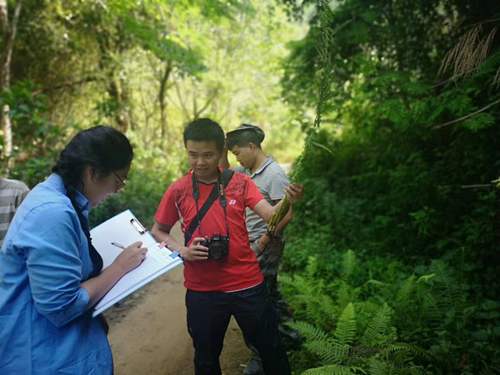 XTBG researchers collect fern species in west Yunnan