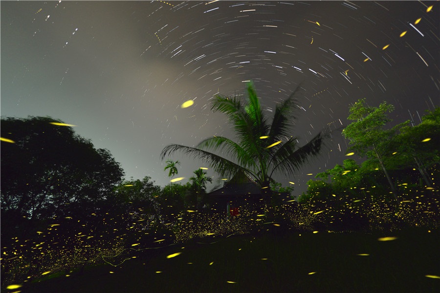 Botanic garden in Yunnan spotlights nature's wonder