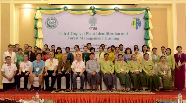 SEABRI continues helping train researchers on tropical plant identification in Myanmar
