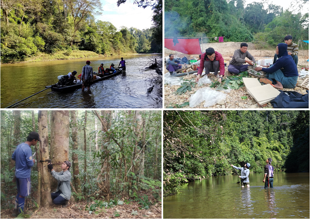 9th China-Myanmar joint field expedition completed