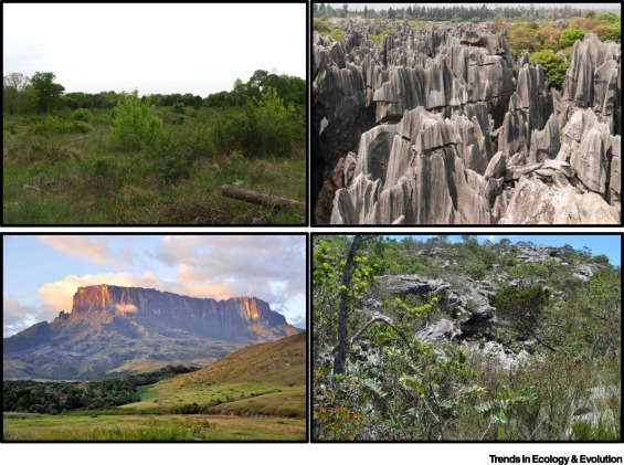 Edaphic factors important to explain and predict impact of climate change on species distribution