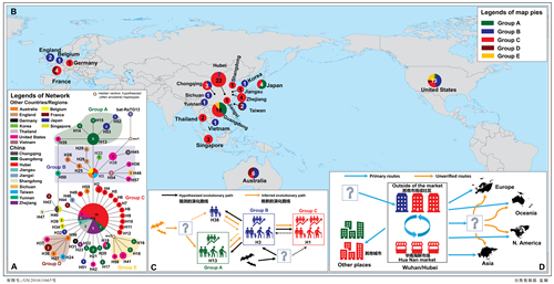 Research excludes Wuhan seafood market as origin of SARS-CoV-2: CAS