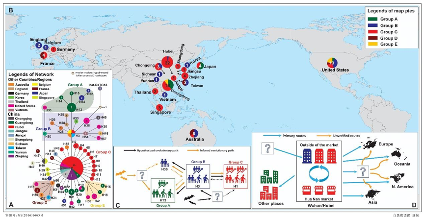 New study further proves Wuhan seafood market not the source of COVID-19