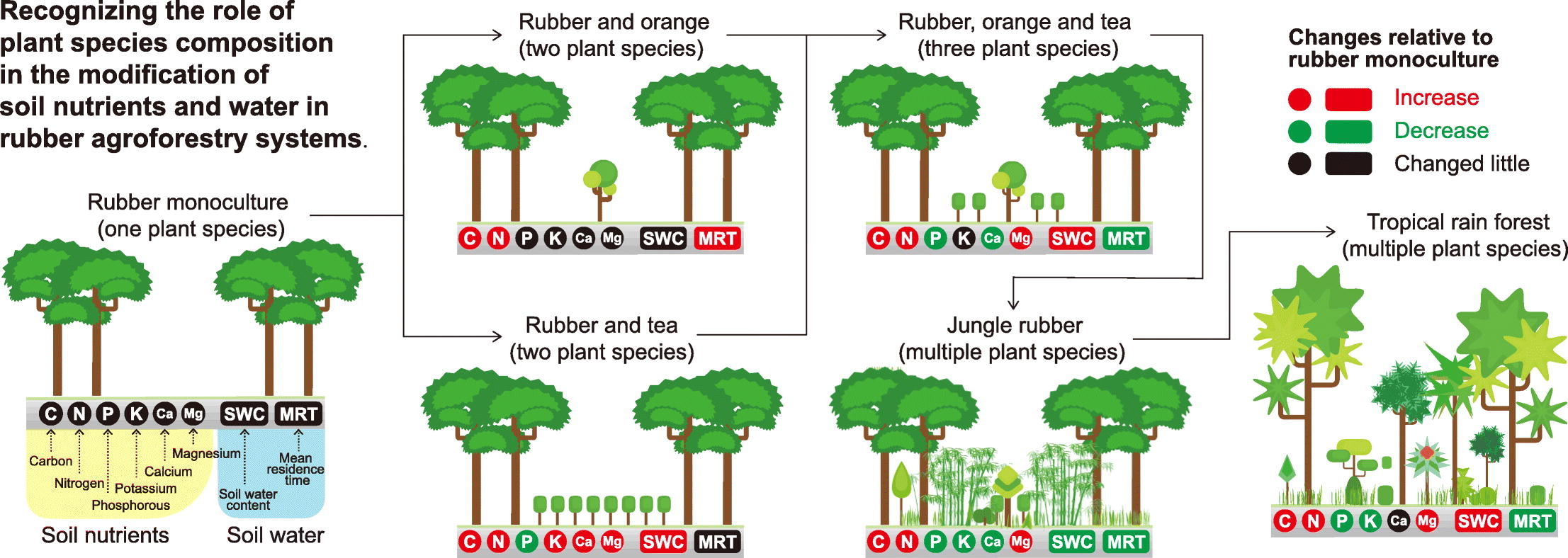 Increased plant species composition creates more soil carbon, nitrogen: research