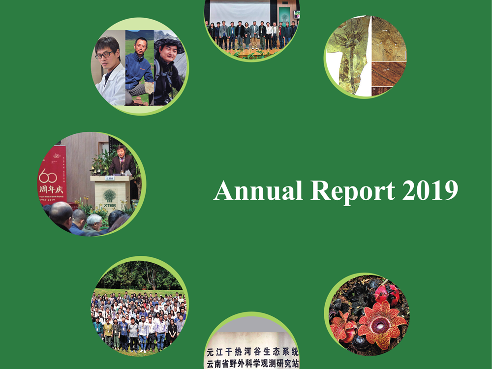 Annual Report 2019 released