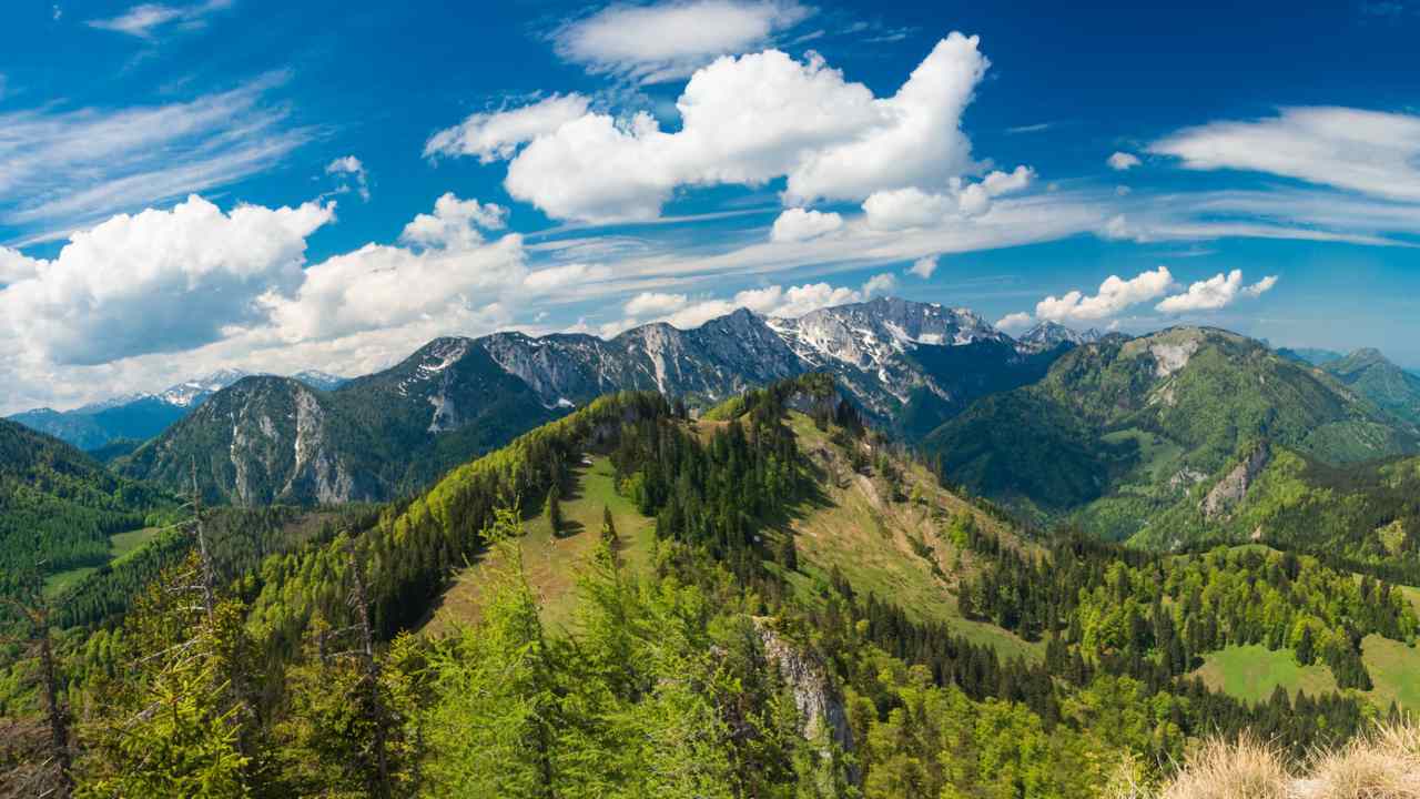 Some of the world's oldest Alpine plants are in China's Hengduan mountain ranges, study finds