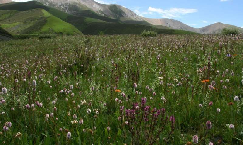 Ancient mountain formation and monsoons helped create a modern biodiversity hotspot