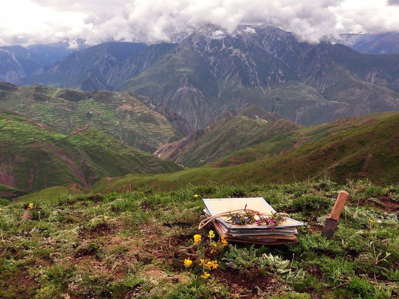 How Ancient Monsoons and Tectonic Shifts Shaped This Flowering Mountain Hotspot