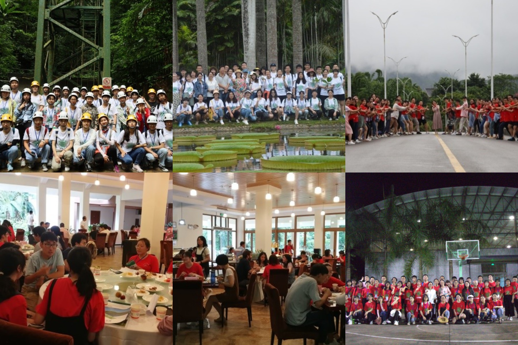 XTBG Excellent University Students Summer Camp 2020 completed