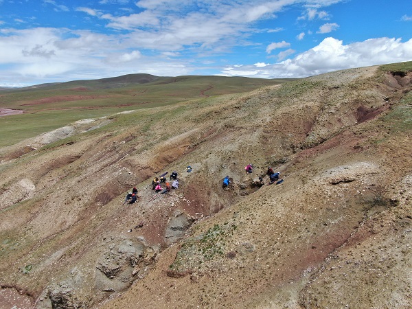 Newly discovered fossils prove “Shangri-La”-like ecosystem in central Tibet