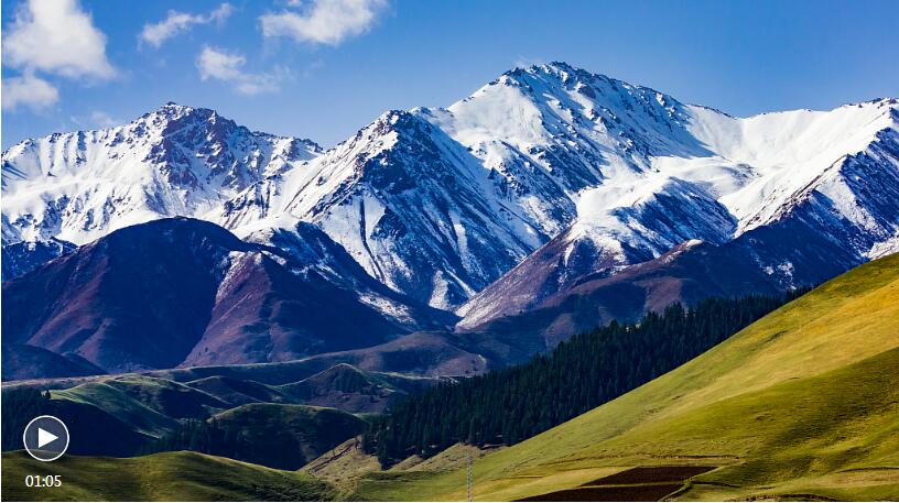 Subtropical forests once existed on the Qinghai-Tibet Plateau: study
