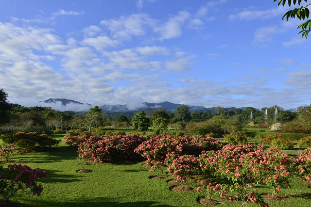 Tropical garden major player in ecological outreach
