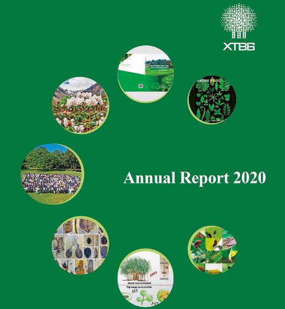 Annual Report 2020 released