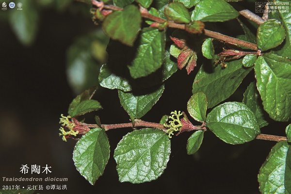 3718 species newly recorded in Yunnan over past 30 years