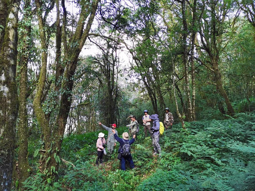 First joint field expedition in western Yunnan completed