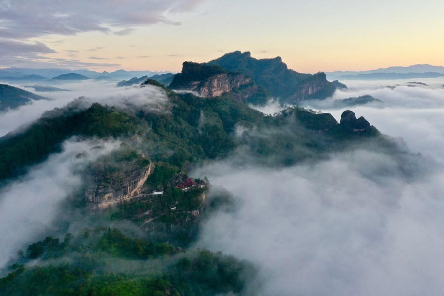 Explainer: Exploring China's botanical garden system