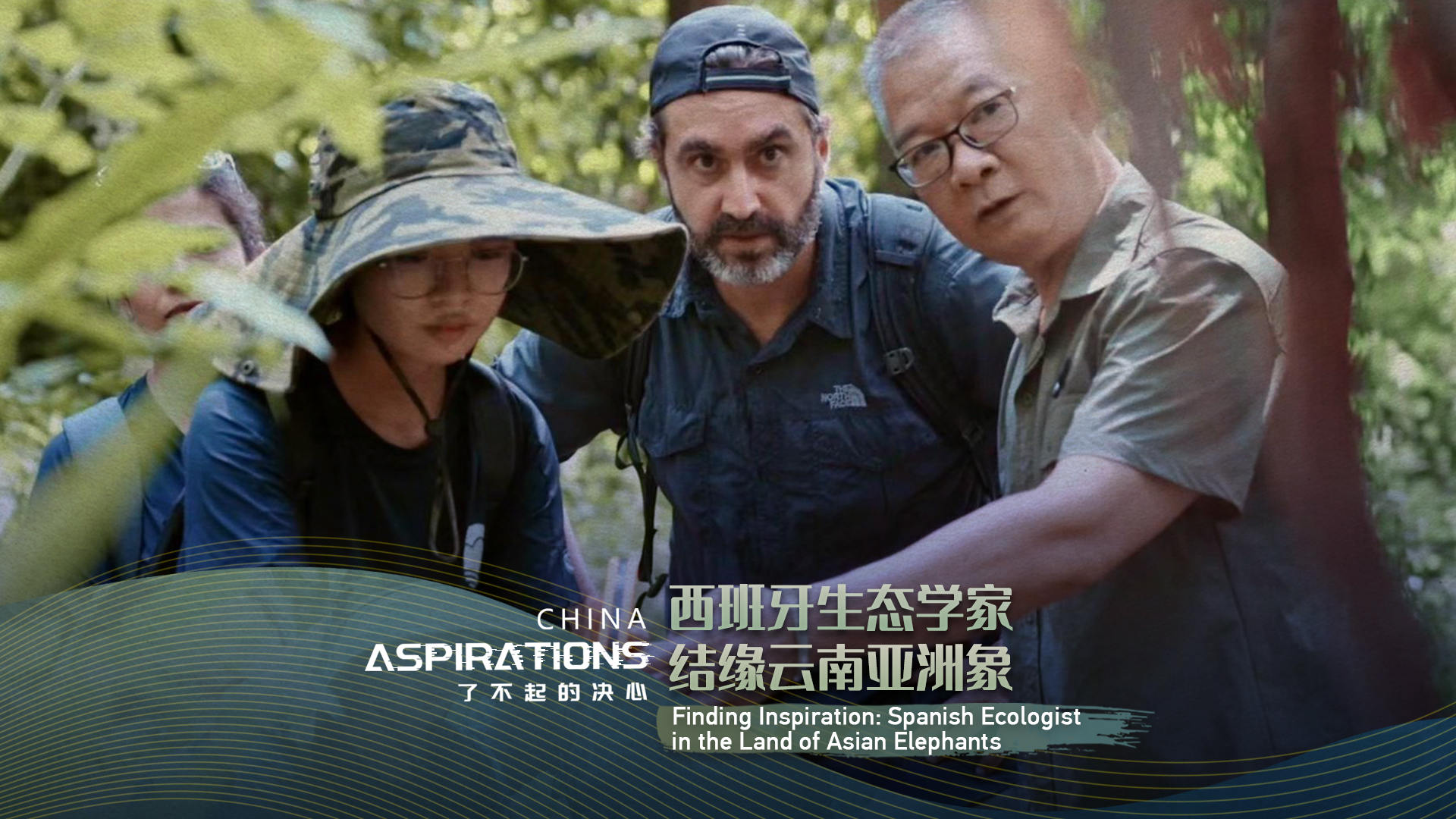 Finding inspiration: Spanish ecologist in the land of Asian elephants