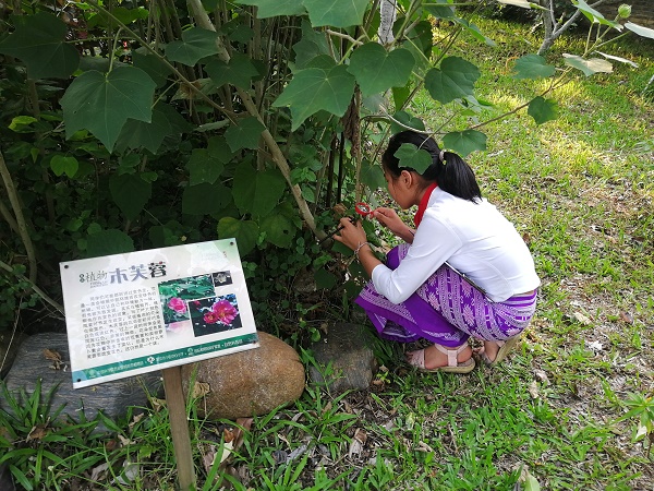 School gardens cultivate children's interest in nature, ease stress