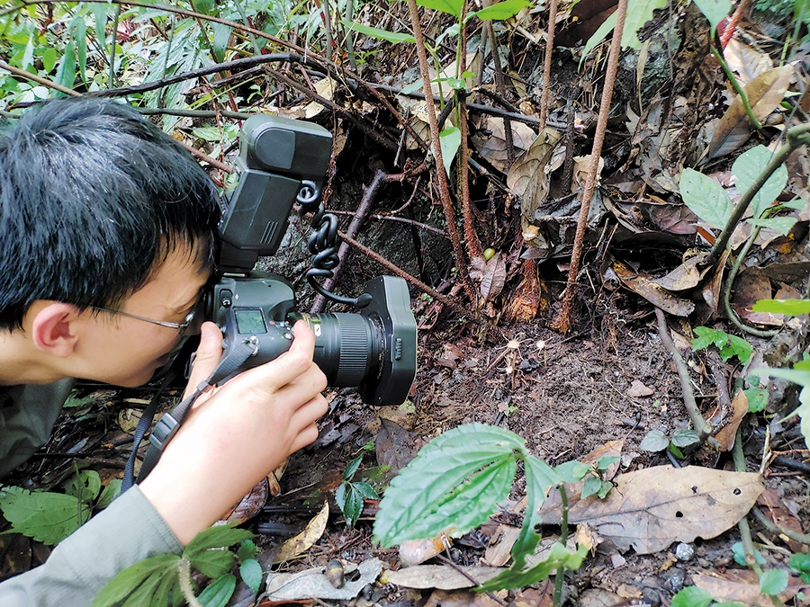 Scientists identify 'alien' flowering plant