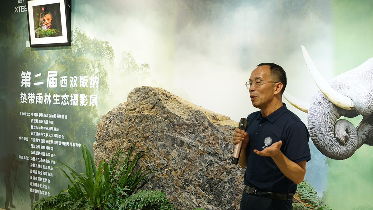 XTBG holds 2nd Xishuangbanna Tropical Rainforest Ecological Photography Exhibition