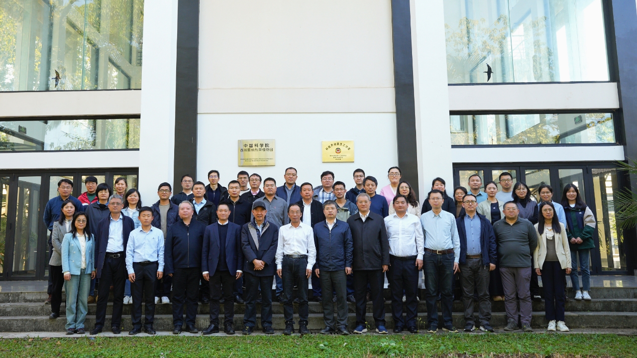 XTBG launches research program of exploitation and utilization of high-quality rubber-producing plant resources