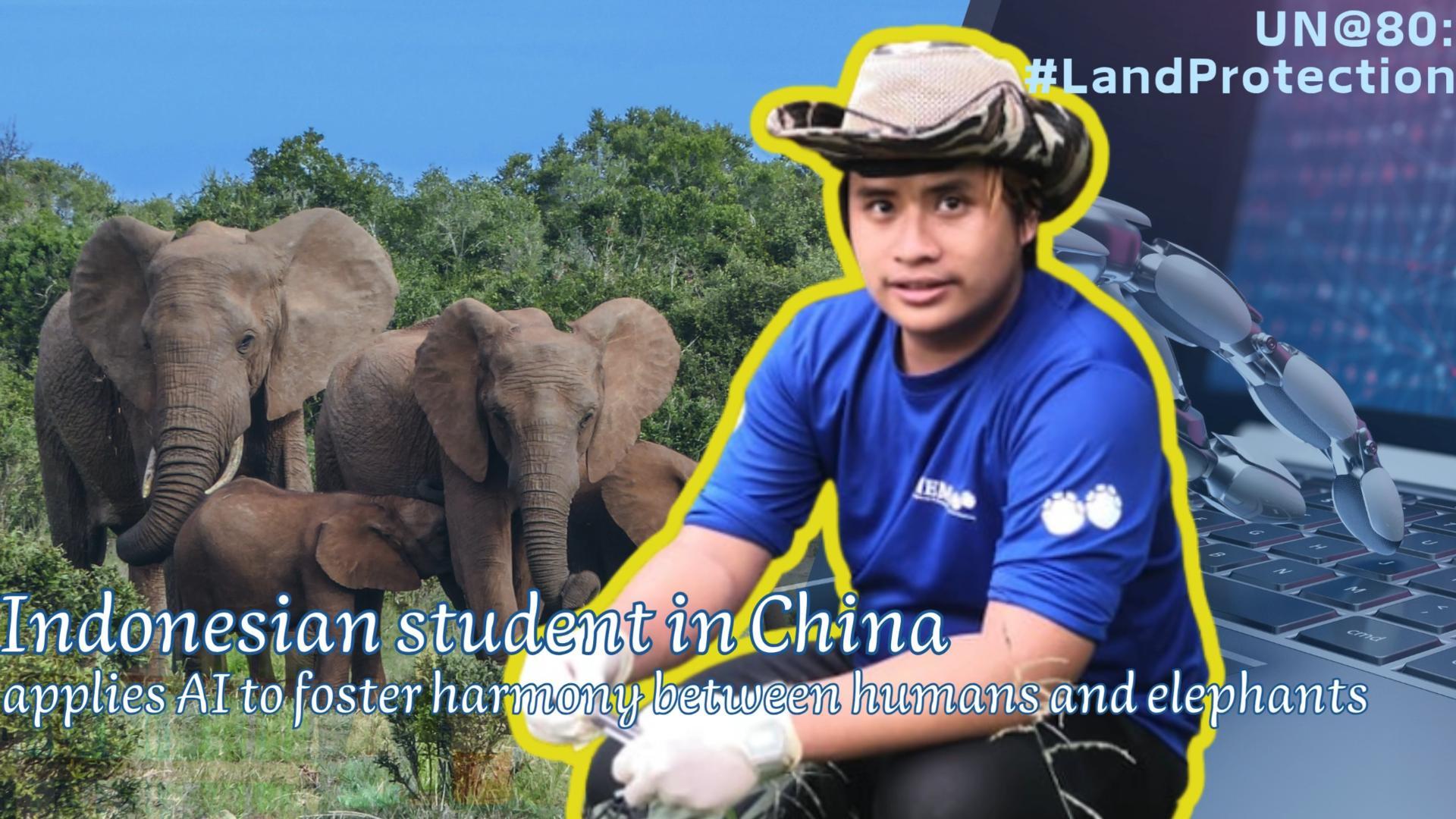 Indonesian student in China applies AI to foster harmony between humans and elephants