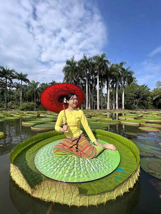 King Lotus Leaves Enter Best Viewing Season In SW China s Yunnan King Lotus Leaves Enter Best Viewing Season In SW China s Yunnan