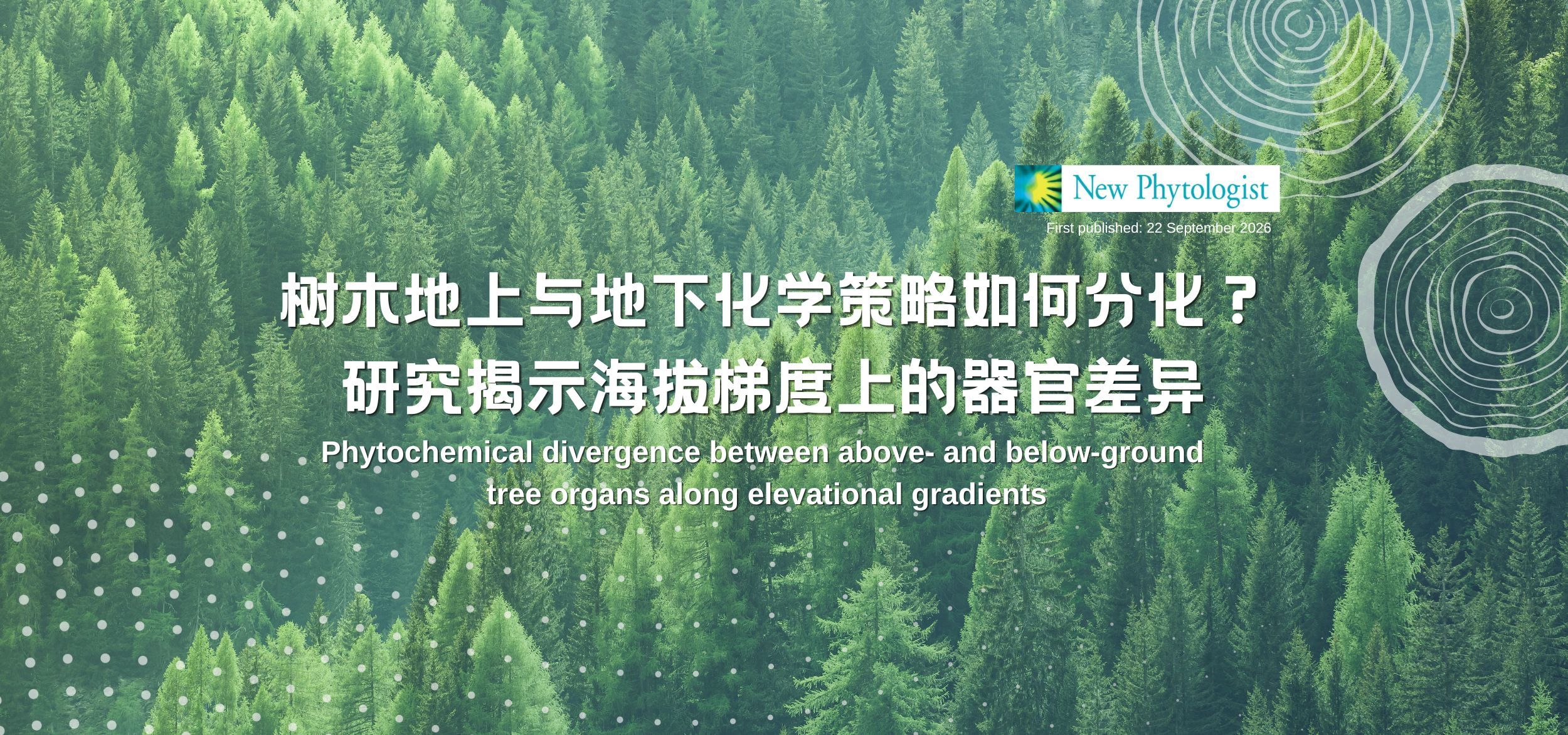 Leaves and Roots of the Same Tree Follow Distinct Defensive Strategies Across Elevations